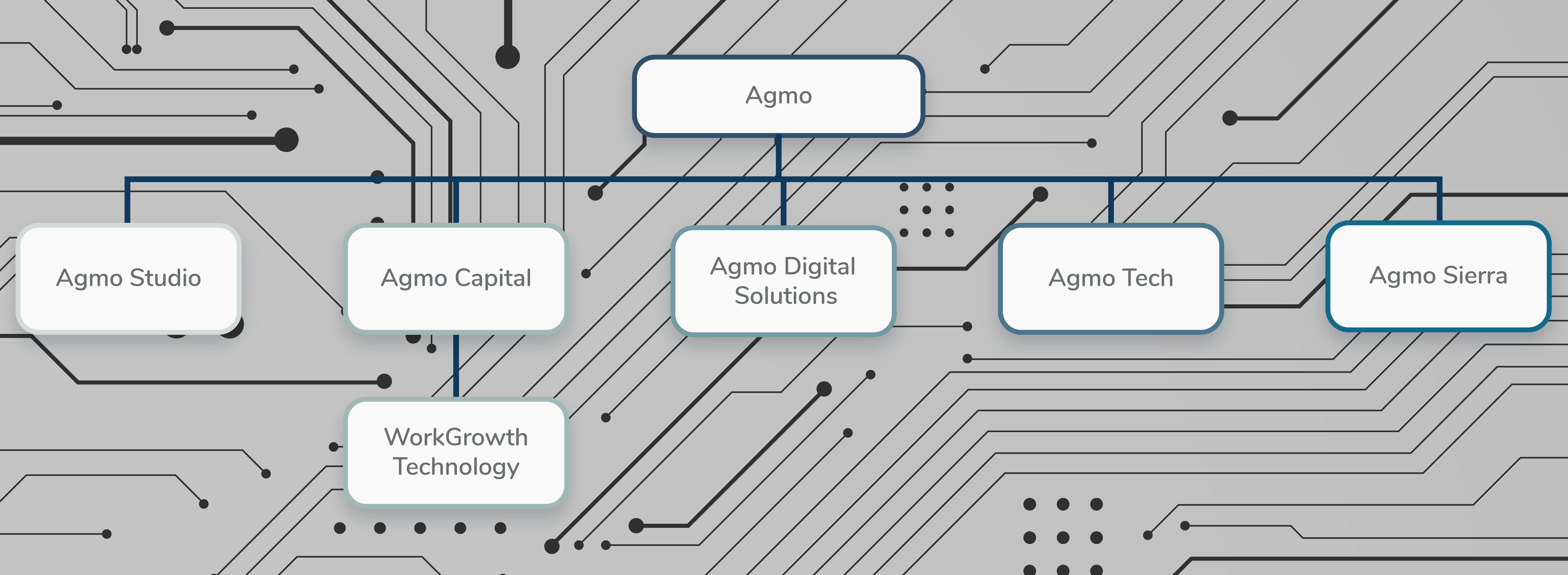 Agmo Group corporate structure chart